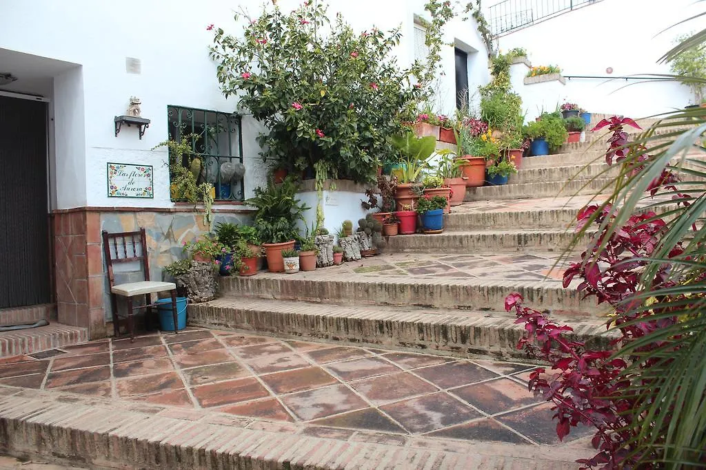 Casas Rurales Jardines Del Visir Genalguacil Spain